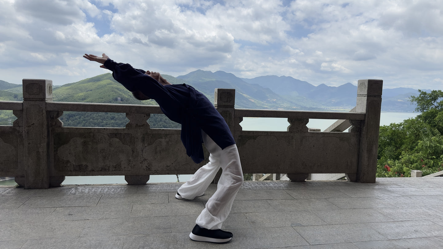 Health preservation、Taoism、Health、Qigong、Meditation、Standing、 Breathing